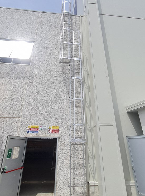 Cage ladder