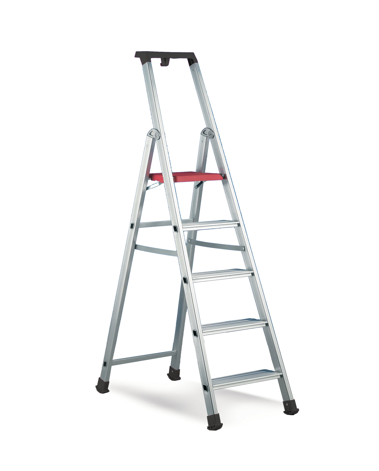 Cassiopea Comfort