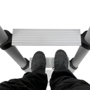 Telesteps Prime 6