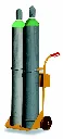 Carrello_CA15_2.webp