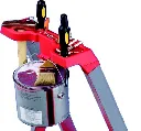 Cassiopea_6.webp