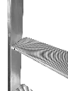 OmegaGrPiano_2.webp