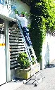 Dragon_ScalaChiusa.webp